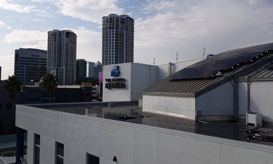 The Florida Aquarium building on the Channelside waterfront with the downtown Tampa skyline behind it