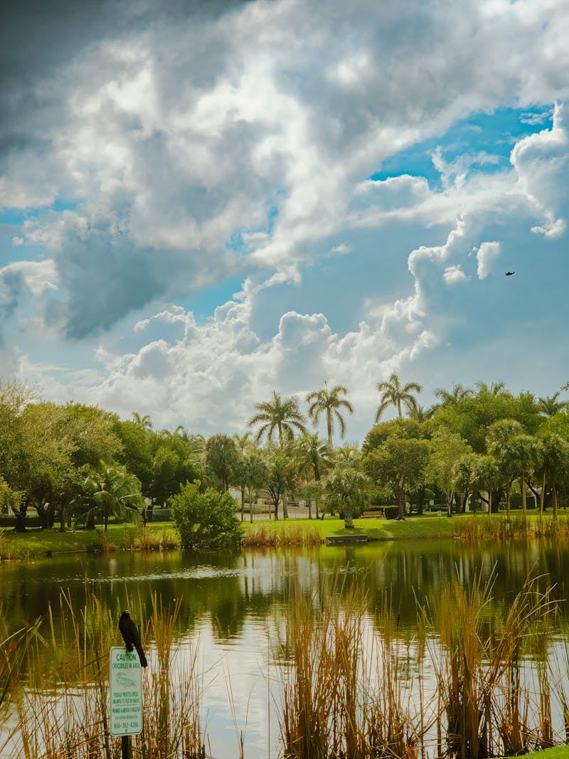 Peace Mound Park, Weston