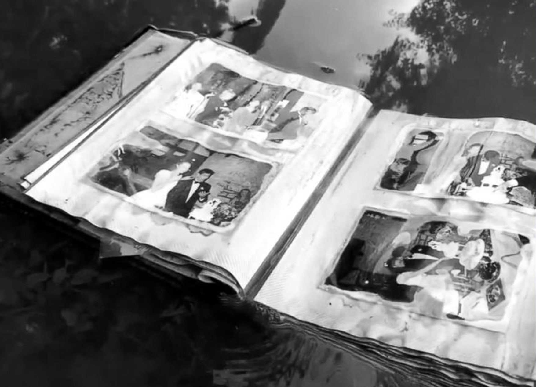 How to Save and Restore Water Damaged Photos: Guide | Forever Studios