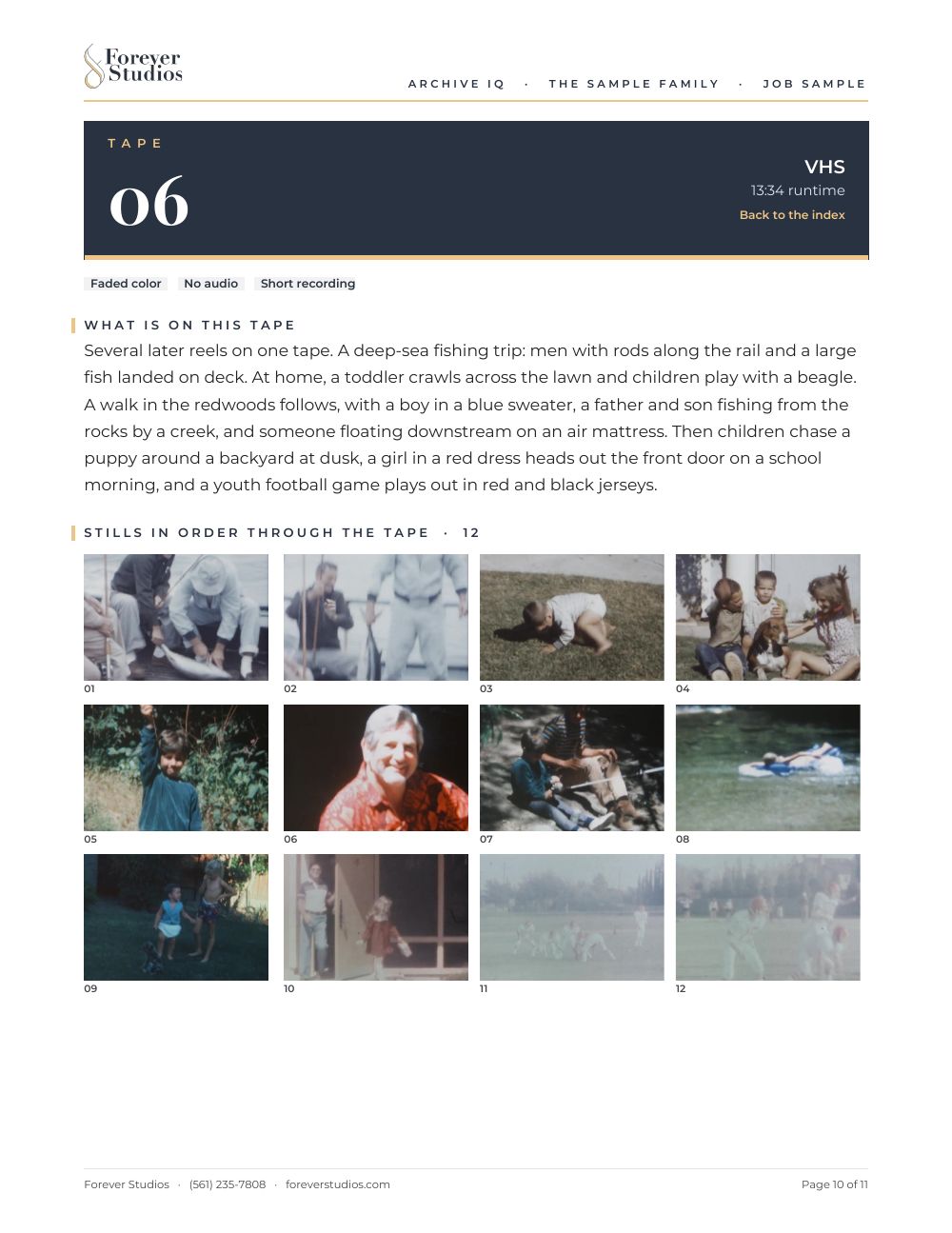 Archive IQ sample report, page 10 of 11: Tape 06