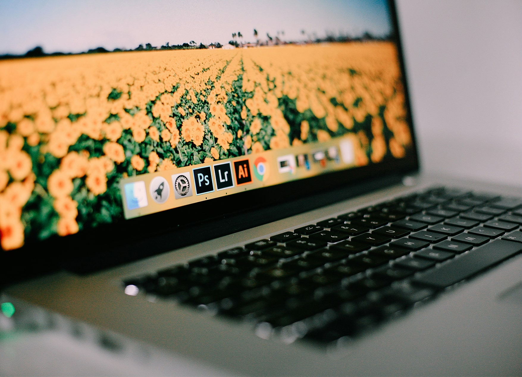 The Top Online Photo Editing Services in 2024. | Forever Studios