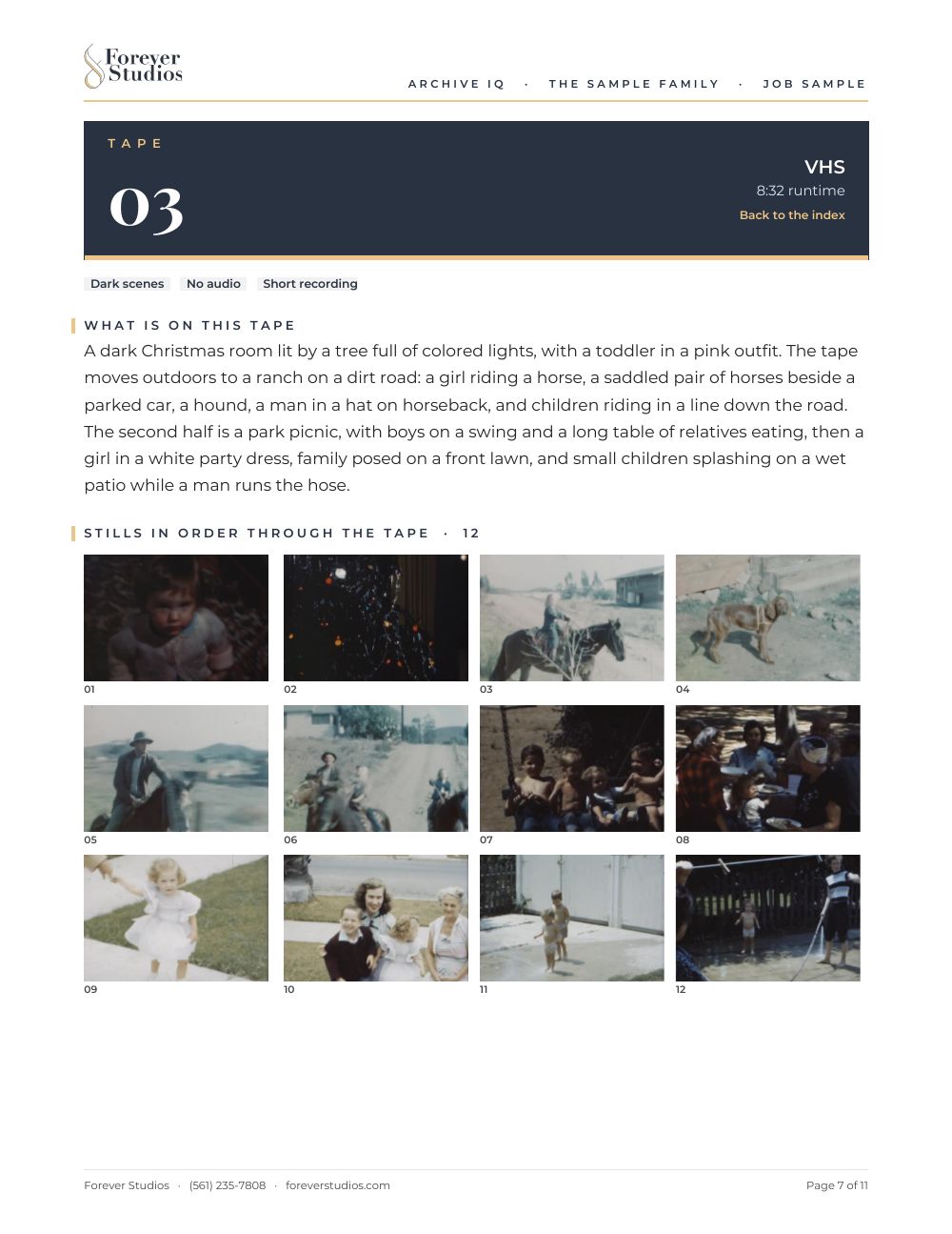 Archive IQ sample report, page 7 of 11: Tape 03