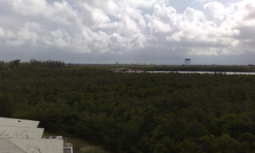The view over mangroves and the Intracoastal from the observation tower at Anne Kolb Nature Center