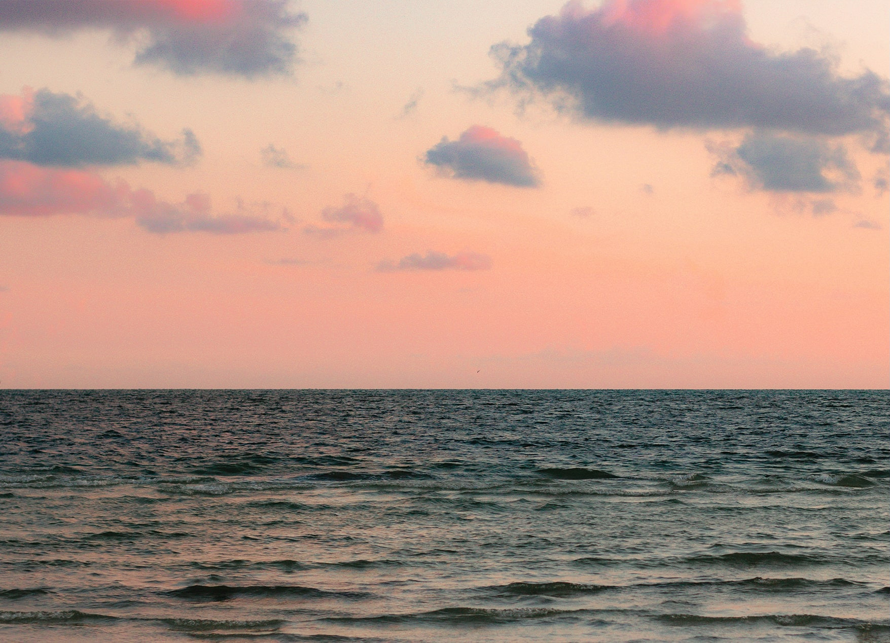 Miami Beach: Coastal Memory Protection | Forever Studios