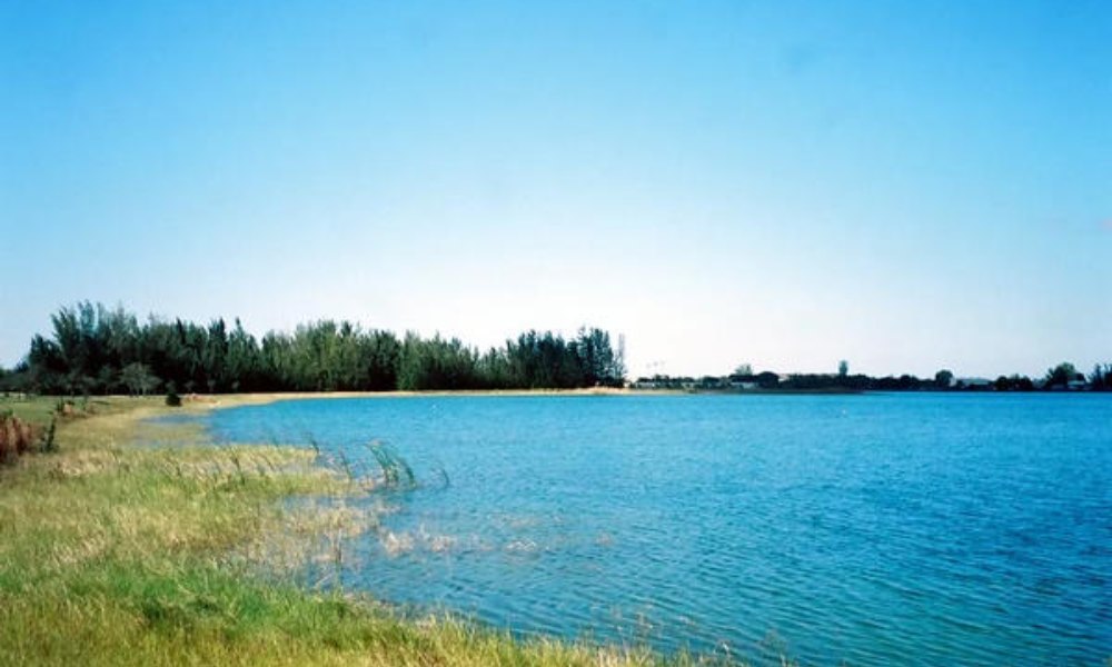 The lakeshore at Amelia Earhart Park in Hialeah, Florida