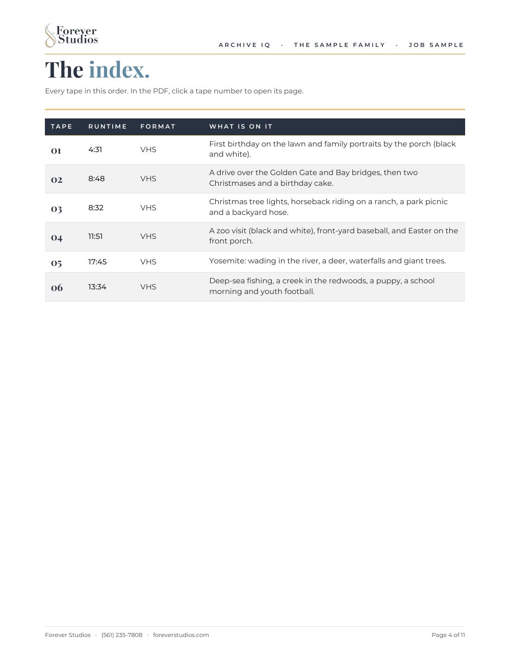 Archive IQ sample report, page 4 of 11: The index