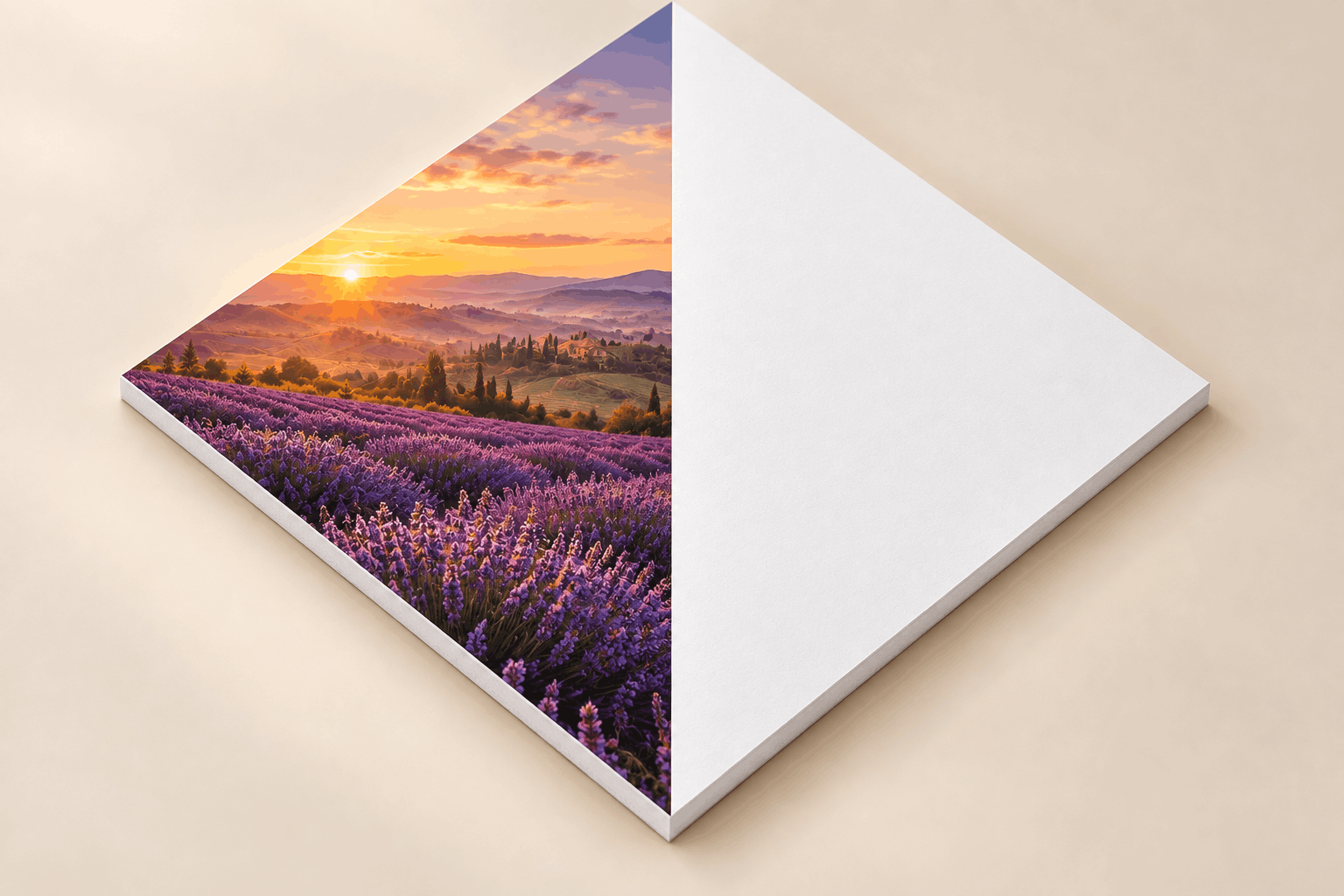 Foamcore Print n/a 8x10