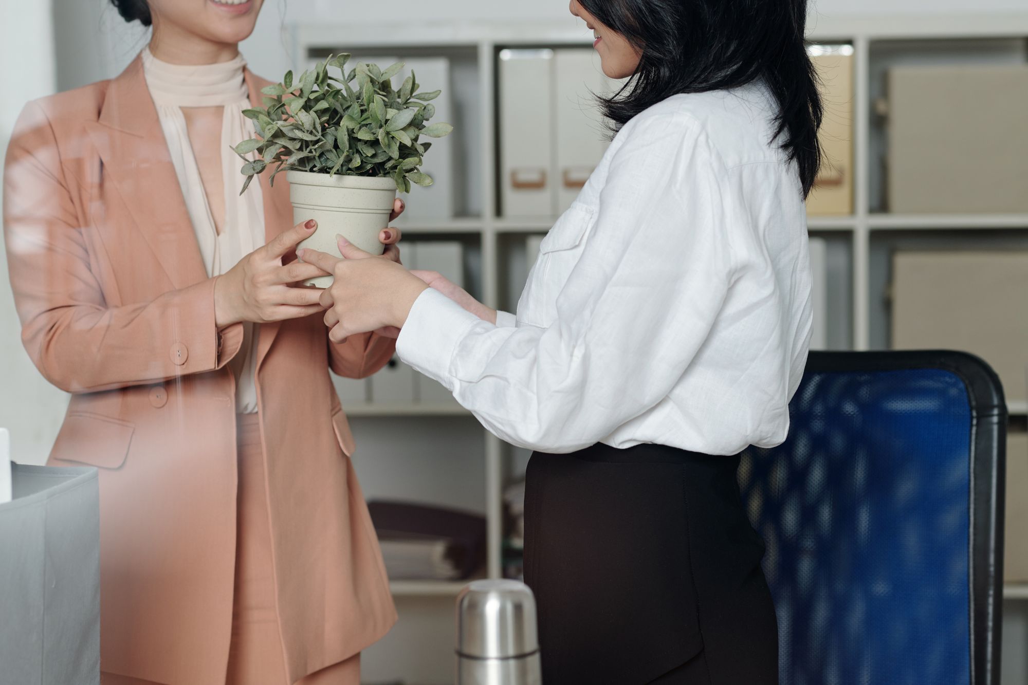 gift a plant