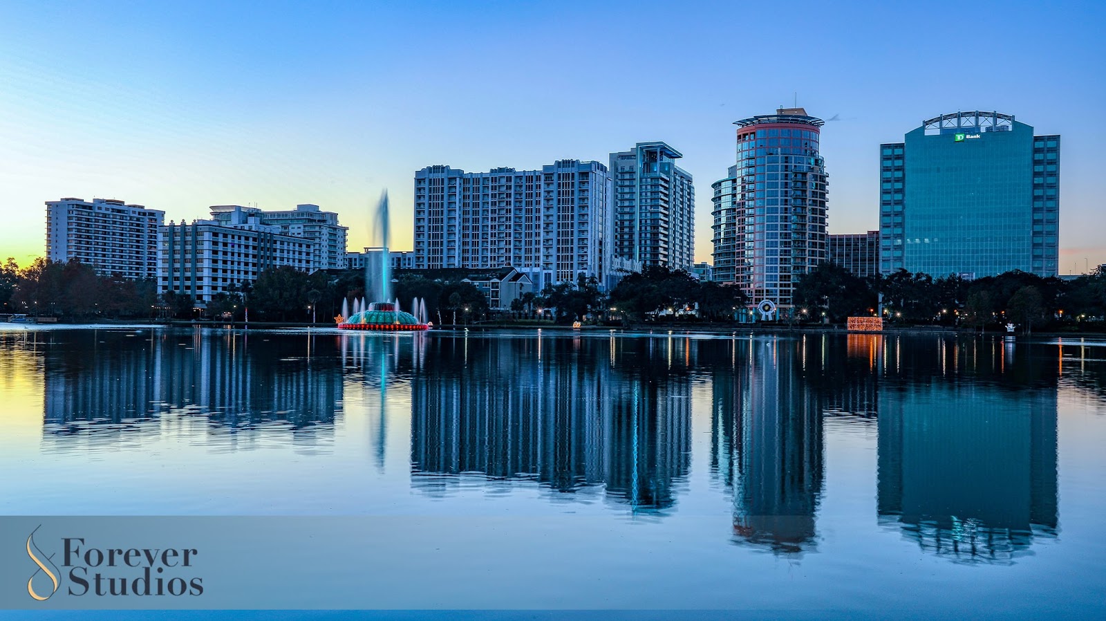 Tampa: Ship Your Memories to Us | Forever Studios